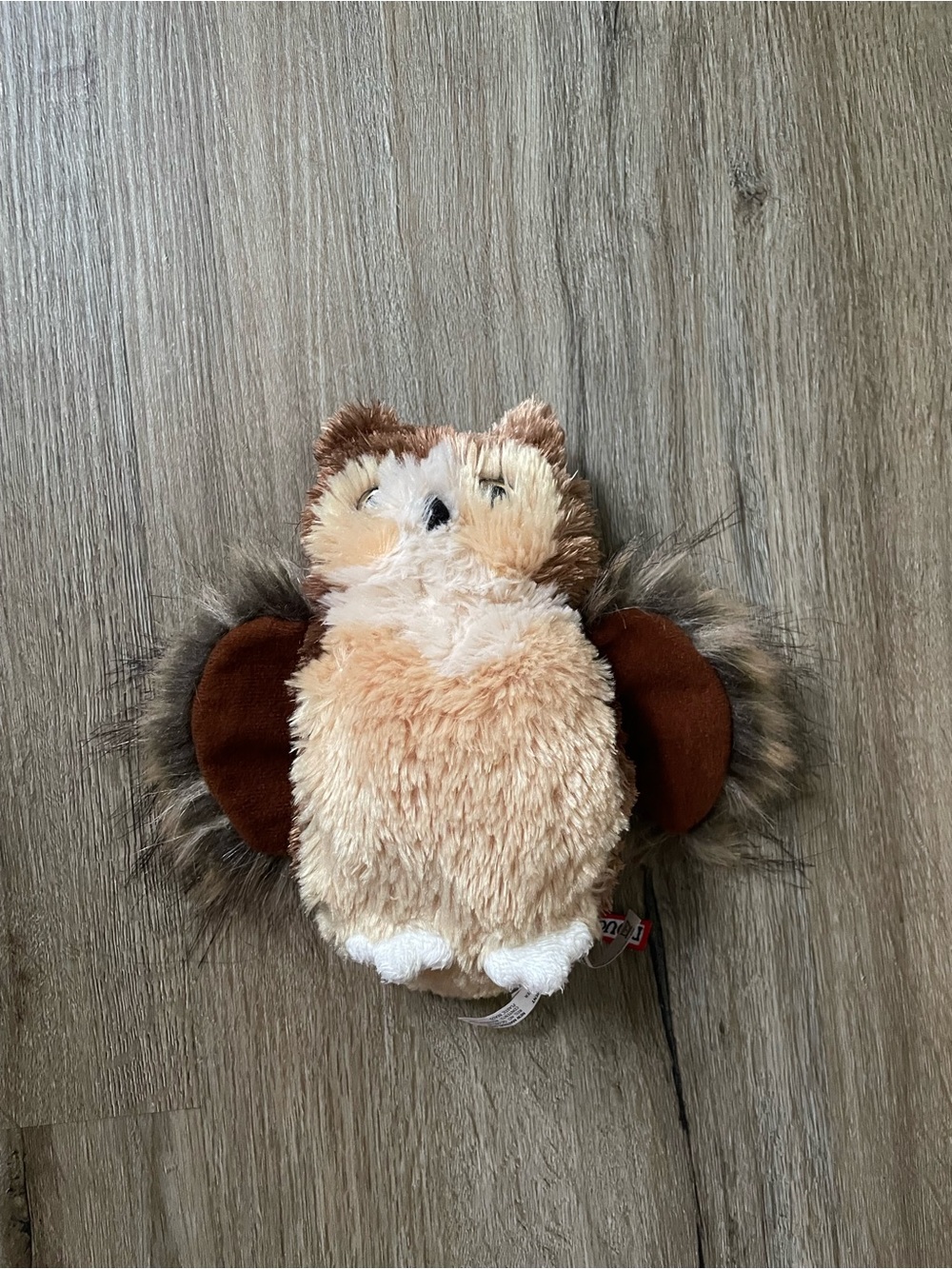 Douglas owl